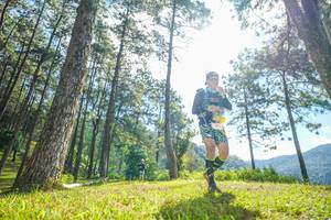 BIB: 
                            <button type="button" onclick="openModal(19283196)" class="btn btn-primary btn-sm float-right btn-popup" data-toggle="modal" data-target=".modal-high-quality">
                        <i class="fas fa-shopping-cart"></i> Add to Cart
                    </button>
                                            <button type="button" onclick="isThisMe(19283196, true)" class="btn btn-success btn-sm float-right btn-popup btn-isme hidden" data-toggle="tooltip" data-placement="bottom" title="นี่คือรูปของคุณใช่ไหม คลิกที่นี่เพื่อเอาเข้าอัลบั้ม">
                        <i class="fas fa-plus"></i> Add to album
                    </button>
                    <button type="button" onclick="isThisMe(19283196, false)" class="btn btn-warning btn-sm float-right btn-popup btn-isnotme hidden">
                        <i class="fas fa-ban"></i> Remove from album
                    </button>