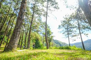 BIB: 
                            <button type="button" onclick="openModal(19289498)" class="btn btn-primary btn-sm float-right btn-popup" data-toggle="modal" data-target=".modal-high-quality">
                        <i class="fas fa-shopping-cart"></i> Add to Cart
                    </button>
                                            <button type="button" onclick="isThisMe(19289498, true)" class="btn btn-success btn-sm float-right btn-popup btn-isme hidden" data-toggle="tooltip" data-placement="bottom" title="นี่คือรูปของคุณใช่ไหม คลิกที่นี่เพื่อเอาเข้าอัลบั้ม">
                        <i class="fas fa-plus"></i> Add to album
                    </button>
                    <button type="button" onclick="isThisMe(19289498, false)" class="btn btn-warning btn-sm float-right btn-popup btn-isnotme hidden">
                        <i class="fas fa-ban"></i> Remove from album
                    </button>