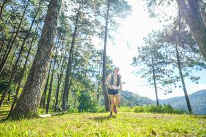 BIB: 
                            <button type="button" onclick="openModal(19283387)" class="btn btn-primary btn-sm float-right btn-popup" data-toggle="modal" data-target=".modal-high-quality">
                        <i class="fas fa-shopping-cart"></i> Add to Cart
                    </button>
                                            <button type="button" onclick="isThisMe(19283387, true)" class="btn btn-success btn-sm float-right btn-popup btn-isme hidden" data-toggle="tooltip" data-placement="bottom" title="นี่คือรูปของคุณใช่ไหม คลิกที่นี่เพื่อเอาเข้าอัลบั้ม">
                        <i class="fas fa-plus"></i> Add to album
                    </button>
                    <button type="button" onclick="isThisMe(19283387, false)" class="btn btn-warning btn-sm float-right btn-popup btn-isnotme hidden">
                        <i class="fas fa-ban"></i> Remove from album
                    </button>