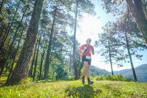 BIB: 
                            <button type="button" onclick="openModal(19281189)" class="btn btn-primary btn-sm float-right btn-popup" data-toggle="modal" data-target=".modal-high-quality">
                        <i class="fas fa-shopping-cart"></i> Add to Cart
                    </button>
                                            <button type="button" onclick="isThisMe(19281189, true)" class="btn btn-success btn-sm float-right btn-popup btn-isme hidden" data-toggle="tooltip" data-placement="bottom" title="นี่คือรูปของคุณใช่ไหม คลิกที่นี่เพื่อเอาเข้าอัลบั้ม">
                        <i class="fas fa-plus"></i> Add to album
                    </button>
                    <button type="button" onclick="isThisMe(19281189, false)" class="btn btn-warning btn-sm float-right btn-popup btn-isnotme hidden">
                        <i class="fas fa-ban"></i> Remove from album
                    </button>