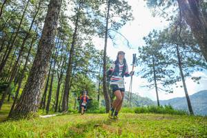 BIB: 
                            <button type="button" onclick="openModal(19286654)" class="btn btn-primary btn-sm float-right btn-popup" data-toggle="modal" data-target=".modal-high-quality">
                        <i class="fas fa-shopping-cart"></i> Add to Cart
                    </button>
                                            <button type="button" onclick="isThisMe(19286654, true)" class="btn btn-success btn-sm float-right btn-popup btn-isme hidden" data-toggle="tooltip" data-placement="bottom" title="นี่คือรูปของคุณใช่ไหม คลิกที่นี่เพื่อเอาเข้าอัลบั้ม">
                        <i class="fas fa-plus"></i> Add to album
                    </button>
                    <button type="button" onclick="isThisMe(19286654, false)" class="btn btn-warning btn-sm float-right btn-popup btn-isnotme hidden">
                        <i class="fas fa-ban"></i> Remove from album
                    </button>