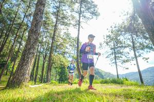 BIB: 
                            <button type="button" onclick="openModal(19288745)" class="btn btn-primary btn-sm float-right btn-popup" data-toggle="modal" data-target=".modal-high-quality">
                        <i class="fas fa-shopping-cart"></i> Add to Cart
                    </button>
                                            <button type="button" onclick="isThisMe(19288745, true)" class="btn btn-success btn-sm float-right btn-popup btn-isme hidden" data-toggle="tooltip" data-placement="bottom" title="นี่คือรูปของคุณใช่ไหม คลิกที่นี่เพื่อเอาเข้าอัลบั้ม">
                        <i class="fas fa-plus"></i> Add to album
                    </button>
                    <button type="button" onclick="isThisMe(19288745, false)" class="btn btn-warning btn-sm float-right btn-popup btn-isnotme hidden">
                        <i class="fas fa-ban"></i> Remove from album
                    </button>