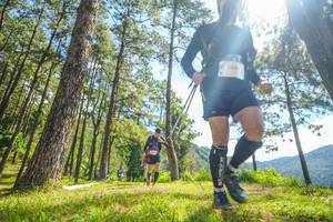 BIB: 588
                            <button type="button" onclick="openModal(19290425)" class="btn btn-primary btn-sm float-right btn-popup" data-toggle="modal" data-target=".modal-high-quality">
                        <i class="fas fa-shopping-cart"></i> Add to Cart
                    </button>
                                            <button type="button" onclick="isThisMe(19290425, true)" class="btn btn-success btn-sm float-right btn-popup btn-isme hidden" data-toggle="tooltip" data-placement="bottom" title="นี่คือรูปของคุณใช่ไหม คลิกที่นี่เพื่อเอาเข้าอัลบั้ม">
                        <i class="fas fa-plus"></i> Add to album
                    </button>
                    <button type="button" onclick="isThisMe(19290425, false)" class="btn btn-warning btn-sm float-right btn-popup btn-isnotme hidden">
                        <i class="fas fa-ban"></i> Remove from album
                    </button>