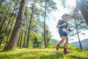 BIB: 
                            <button type="button" onclick="openModal(19290537)" class="btn btn-primary btn-sm float-right btn-popup" data-toggle="modal" data-target=".modal-high-quality">
                        <i class="fas fa-shopping-cart"></i> Add to Cart
                    </button>
                                            <button type="button" onclick="isThisMe(19290537, true)" class="btn btn-success btn-sm float-right btn-popup btn-isme hidden" data-toggle="tooltip" data-placement="bottom" title="นี่คือรูปของคุณใช่ไหม คลิกที่นี่เพื่อเอาเข้าอัลบั้ม">
                        <i class="fas fa-plus"></i> Add to album
                    </button>
                    <button type="button" onclick="isThisMe(19290537, false)" class="btn btn-warning btn-sm float-right btn-popup btn-isnotme hidden">
                        <i class="fas fa-ban"></i> Remove from album
                    </button>