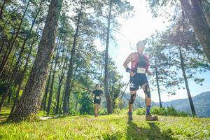 BIB: 
                            <button type="button" onclick="openModal(19282726)" class="btn btn-primary btn-sm float-right btn-popup" data-toggle="modal" data-target=".modal-high-quality">
                        <i class="fas fa-shopping-cart"></i> Add to Cart
                    </button>
                                            <button type="button" onclick="isThisMe(19282726, true)" class="btn btn-success btn-sm float-right btn-popup btn-isme hidden" data-toggle="tooltip" data-placement="bottom" title="นี่คือรูปของคุณใช่ไหม คลิกที่นี่เพื่อเอาเข้าอัลบั้ม">
                        <i class="fas fa-plus"></i> Add to album
                    </button>
                    <button type="button" onclick="isThisMe(19282726, false)" class="btn btn-warning btn-sm float-right btn-popup btn-isnotme hidden">
                        <i class="fas fa-ban"></i> Remove from album
                    </button>