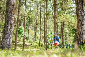 BIB: 
                            <button type="button" onclick="openModal(19292570)" class="btn btn-primary btn-sm float-right btn-popup" data-toggle="modal" data-target=".modal-high-quality">
                        <i class="fas fa-shopping-cart"></i> Add to Cart
                    </button>
                                            <button type="button" onclick="isThisMe(19292570, true)" class="btn btn-success btn-sm float-right btn-popup btn-isme hidden" data-toggle="tooltip" data-placement="bottom" title="นี่คือรูปของคุณใช่ไหม คลิกที่นี่เพื่อเอาเข้าอัลบั้ม">
                        <i class="fas fa-plus"></i> Add to album
                    </button>
                    <button type="button" onclick="isThisMe(19292570, false)" class="btn btn-warning btn-sm float-right btn-popup btn-isnotme hidden">
                        <i class="fas fa-ban"></i> Remove from album
                    </button>