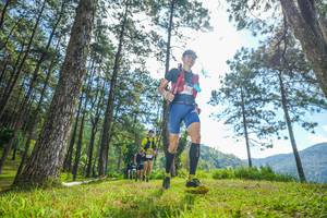 BIB: 
                            <button type="button" onclick="openModal(19283146)" class="btn btn-primary btn-sm float-right btn-popup" data-toggle="modal" data-target=".modal-high-quality">
                        <i class="fas fa-shopping-cart"></i> Add to Cart
                    </button>
                                            <button type="button" onclick="isThisMe(19283146, true)" class="btn btn-success btn-sm float-right btn-popup btn-isme hidden" data-toggle="tooltip" data-placement="bottom" title="นี่คือรูปของคุณใช่ไหม คลิกที่นี่เพื่อเอาเข้าอัลบั้ม">
                        <i class="fas fa-plus"></i> Add to album
                    </button>
                    <button type="button" onclick="isThisMe(19283146, false)" class="btn btn-warning btn-sm float-right btn-popup btn-isnotme hidden">
                        <i class="fas fa-ban"></i> Remove from album
                    </button>