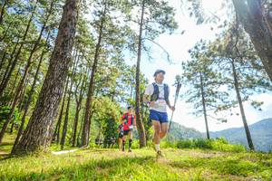 BIB: 
                            <button type="button" onclick="openModal(19289177)" class="btn btn-primary btn-sm float-right btn-popup" data-toggle="modal" data-target=".modal-high-quality">
                        <i class="fas fa-shopping-cart"></i> Add to Cart
                    </button>
                                            <button type="button" onclick="isThisMe(19289177, true)" class="btn btn-success btn-sm float-right btn-popup btn-isme hidden" data-toggle="tooltip" data-placement="bottom" title="นี่คือรูปของคุณใช่ไหม คลิกที่นี่เพื่อเอาเข้าอัลบั้ม">
                        <i class="fas fa-plus"></i> Add to album
                    </button>
                    <button type="button" onclick="isThisMe(19289177, false)" class="btn btn-warning btn-sm float-right btn-popup btn-isnotme hidden">
                        <i class="fas fa-ban"></i> Remove from album
                    </button>