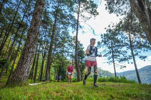 BIB: 
                            <button type="button" onclick="openModal(19284918)" class="btn btn-primary btn-sm float-right btn-popup" data-toggle="modal" data-target=".modal-high-quality">
                        <i class="fas fa-shopping-cart"></i> Add to Cart
                    </button>
                                            <button type="button" onclick="isThisMe(19284918, true)" class="btn btn-success btn-sm float-right btn-popup btn-isme hidden" data-toggle="tooltip" data-placement="bottom" title="นี่คือรูปของคุณใช่ไหม คลิกที่นี่เพื่อเอาเข้าอัลบั้ม">
                        <i class="fas fa-plus"></i> Add to album
                    </button>
                    <button type="button" onclick="isThisMe(19284918, false)" class="btn btn-warning btn-sm float-right btn-popup btn-isnotme hidden">
                        <i class="fas fa-ban"></i> Remove from album
                    </button>