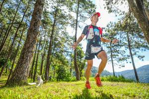 BIB: 5251, 
                            <button type="button" onclick="openModal(19283355)" class="btn btn-primary btn-sm float-right btn-popup" data-toggle="modal" data-target=".modal-high-quality">
                        <i class="fas fa-shopping-cart"></i> Add to Cart
                    </button>
                                            <button type="button" onclick="isThisMe(19283355, true)" class="btn btn-success btn-sm float-right btn-popup btn-isme hidden" data-toggle="tooltip" data-placement="bottom" title="นี่คือรูปของคุณใช่ไหม คลิกที่นี่เพื่อเอาเข้าอัลบั้ม">
                        <i class="fas fa-plus"></i> Add to album
                    </button>
                    <button type="button" onclick="isThisMe(19283355, false)" class="btn btn-warning btn-sm float-right btn-popup btn-isnotme hidden">
                        <i class="fas fa-ban"></i> Remove from album
                    </button>