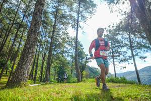 BIB: 
                            <button type="button" onclick="openModal(19285065)" class="btn btn-primary btn-sm float-right btn-popup" data-toggle="modal" data-target=".modal-high-quality">
                        <i class="fas fa-shopping-cart"></i> Add to Cart
                    </button>
                                            <button type="button" onclick="isThisMe(19285065, true)" class="btn btn-success btn-sm float-right btn-popup btn-isme hidden" data-toggle="tooltip" data-placement="bottom" title="นี่คือรูปของคุณใช่ไหม คลิกที่นี่เพื่อเอาเข้าอัลบั้ม">
                        <i class="fas fa-plus"></i> Add to album
                    </button>
                    <button type="button" onclick="isThisMe(19285065, false)" class="btn btn-warning btn-sm float-right btn-popup btn-isnotme hidden">
                        <i class="fas fa-ban"></i> Remove from album
                    </button>