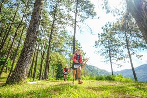 BIB: 
                            <button type="button" onclick="openModal(19289297)" class="btn btn-primary btn-sm float-right btn-popup" data-toggle="modal" data-target=".modal-high-quality">
                        <i class="fas fa-shopping-cart"></i> Add to Cart
                    </button>
                                            <button type="button" onclick="isThisMe(19289297, true)" class="btn btn-success btn-sm float-right btn-popup btn-isme hidden" data-toggle="tooltip" data-placement="bottom" title="นี่คือรูปของคุณใช่ไหม คลิกที่นี่เพื่อเอาเข้าอัลบั้ม">
                        <i class="fas fa-plus"></i> Add to album
                    </button>
                    <button type="button" onclick="isThisMe(19289297, false)" class="btn btn-warning btn-sm float-right btn-popup btn-isnotme hidden">
                        <i class="fas fa-ban"></i> Remove from album
                    </button>