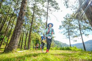 BIB: 
                            <button type="button" onclick="openModal(19289724)" class="btn btn-primary btn-sm float-right btn-popup" data-toggle="modal" data-target=".modal-high-quality">
                        <i class="fas fa-shopping-cart"></i> Add to Cart
                    </button>
                                            <button type="button" onclick="isThisMe(19289724, true)" class="btn btn-success btn-sm float-right btn-popup btn-isme hidden" data-toggle="tooltip" data-placement="bottom" title="นี่คือรูปของคุณใช่ไหม คลิกที่นี่เพื่อเอาเข้าอัลบั้ม">
                        <i class="fas fa-plus"></i> Add to album
                    </button>
                    <button type="button" onclick="isThisMe(19289724, false)" class="btn btn-warning btn-sm float-right btn-popup btn-isnotme hidden">
                        <i class="fas fa-ban"></i> Remove from album
                    </button>