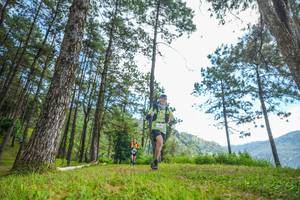 BIB: 
                            <button type="button" onclick="openModal(19287595)" class="btn btn-primary btn-sm float-right btn-popup" data-toggle="modal" data-target=".modal-high-quality">
                        <i class="fas fa-shopping-cart"></i> Add to Cart
                    </button>
                                            <button type="button" onclick="isThisMe(19287595, true)" class="btn btn-success btn-sm float-right btn-popup btn-isme hidden" data-toggle="tooltip" data-placement="bottom" title="นี่คือรูปของคุณใช่ไหม คลิกที่นี่เพื่อเอาเข้าอัลบั้ม">
                        <i class="fas fa-plus"></i> Add to album
                    </button>
                    <button type="button" onclick="isThisMe(19287595, false)" class="btn btn-warning btn-sm float-right btn-popup btn-isnotme hidden">
                        <i class="fas fa-ban"></i> Remove from album
                    </button>