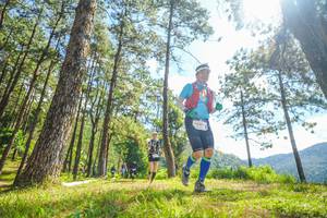 BIB: 
                            <button type="button" onclick="openModal(19290395)" class="btn btn-primary btn-sm float-right btn-popup" data-toggle="modal" data-target=".modal-high-quality">
                        <i class="fas fa-shopping-cart"></i> Add to Cart
                    </button>
                                            <button type="button" onclick="isThisMe(19290395, true)" class="btn btn-success btn-sm float-right btn-popup btn-isme hidden" data-toggle="tooltip" data-placement="bottom" title="นี่คือรูปของคุณใช่ไหม คลิกที่นี่เพื่อเอาเข้าอัลบั้ม">
                        <i class="fas fa-plus"></i> Add to album
                    </button>
                    <button type="button" onclick="isThisMe(19290395, false)" class="btn btn-warning btn-sm float-right btn-popup btn-isnotme hidden">
                        <i class="fas fa-ban"></i> Remove from album
                    </button>