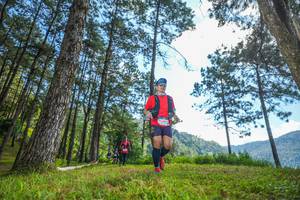 BIB: 
                            <button type="button" onclick="openModal(19283452)" class="btn btn-primary btn-sm float-right btn-popup" data-toggle="modal" data-target=".modal-high-quality">
                        <i class="fas fa-shopping-cart"></i> Add to Cart
                    </button>
                                            <button type="button" onclick="isThisMe(19283452, true)" class="btn btn-success btn-sm float-right btn-popup btn-isme hidden" data-toggle="tooltip" data-placement="bottom" title="นี่คือรูปของคุณใช่ไหม คลิกที่นี่เพื่อเอาเข้าอัลบั้ม">
                        <i class="fas fa-plus"></i> Add to album
                    </button>
                    <button type="button" onclick="isThisMe(19283452, false)" class="btn btn-warning btn-sm float-right btn-popup btn-isnotme hidden">
                        <i class="fas fa-ban"></i> Remove from album
                    </button>