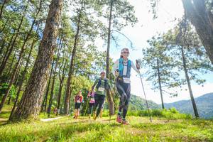 BIB: 1979
                            <button type="button" onclick="openModal(19290012)" class="btn btn-primary btn-sm float-right btn-popup" data-toggle="modal" data-target=".modal-high-quality">
                        <i class="fas fa-shopping-cart"></i> Add to Cart
                    </button>
                                            <button type="button" onclick="isThisMe(19290012, true)" class="btn btn-success btn-sm float-right btn-popup btn-isme hidden" data-toggle="tooltip" data-placement="bottom" title="นี่คือรูปของคุณใช่ไหม คลิกที่นี่เพื่อเอาเข้าอัลบั้ม">
                        <i class="fas fa-plus"></i> Add to album
                    </button>
                    <button type="button" onclick="isThisMe(19290012, false)" class="btn btn-warning btn-sm float-right btn-popup btn-isnotme hidden">
                        <i class="fas fa-ban"></i> Remove from album
                    </button>