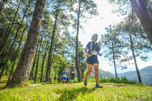 BIB: 
                            <button type="button" onclick="openModal(19287098)" class="btn btn-primary btn-sm float-right btn-popup" data-toggle="modal" data-target=".modal-high-quality">
                        <i class="fas fa-shopping-cart"></i> Add to Cart
                    </button>
                                            <button type="button" onclick="isThisMe(19287098, true)" class="btn btn-success btn-sm float-right btn-popup btn-isme hidden" data-toggle="tooltip" data-placement="bottom" title="นี่คือรูปของคุณใช่ไหม คลิกที่นี่เพื่อเอาเข้าอัลบั้ม">
                        <i class="fas fa-plus"></i> Add to album
                    </button>
                    <button type="button" onclick="isThisMe(19287098, false)" class="btn btn-warning btn-sm float-right btn-popup btn-isnotme hidden">
                        <i class="fas fa-ban"></i> Remove from album
                    </button>