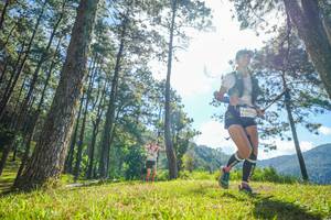 BIB: 1999, 2312
                            <button type="button" onclick="openModal(19281738)" class="btn btn-primary btn-sm float-right btn-popup" data-toggle="modal" data-target=".modal-high-quality">
                        <i class="fas fa-shopping-cart"></i> Add to Cart
                    </button>
                                            <button type="button" onclick="isThisMe(19281738, true)" class="btn btn-success btn-sm float-right btn-popup btn-isme hidden" data-toggle="tooltip" data-placement="bottom" title="นี่คือรูปของคุณใช่ไหม คลิกที่นี่เพื่อเอาเข้าอัลบั้ม">
                        <i class="fas fa-plus"></i> Add to album
                    </button>
                    <button type="button" onclick="isThisMe(19281738, false)" class="btn btn-warning btn-sm float-right btn-popup btn-isnotme hidden">
                        <i class="fas fa-ban"></i> Remove from album
                    </button>