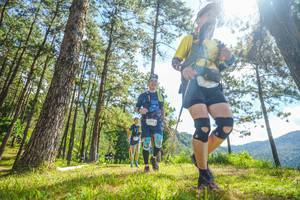 BIB: 
                            <button type="button" onclick="openModal(19290333)" class="btn btn-primary btn-sm float-right btn-popup" data-toggle="modal" data-target=".modal-high-quality">
                        <i class="fas fa-shopping-cart"></i> Add to Cart
                    </button>
                                            <button type="button" onclick="isThisMe(19290333, true)" class="btn btn-success btn-sm float-right btn-popup btn-isme hidden" data-toggle="tooltip" data-placement="bottom" title="นี่คือรูปของคุณใช่ไหม คลิกที่นี่เพื่อเอาเข้าอัลบั้ม">
                        <i class="fas fa-plus"></i> Add to album
                    </button>
                    <button type="button" onclick="isThisMe(19290333, false)" class="btn btn-warning btn-sm float-right btn-popup btn-isnotme hidden">
                        <i class="fas fa-ban"></i> Remove from album
                    </button>