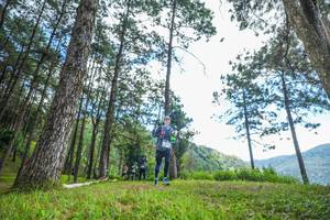 BIB: 
                            <button type="button" onclick="openModal(19287908)" class="btn btn-primary btn-sm float-right btn-popup" data-toggle="modal" data-target=".modal-high-quality">
                        <i class="fas fa-shopping-cart"></i> Add to Cart
                    </button>
                                            <button type="button" onclick="isThisMe(19287908, true)" class="btn btn-success btn-sm float-right btn-popup btn-isme hidden" data-toggle="tooltip" data-placement="bottom" title="นี่คือรูปของคุณใช่ไหม คลิกที่นี่เพื่อเอาเข้าอัลบั้ม">
                        <i class="fas fa-plus"></i> Add to album
                    </button>
                    <button type="button" onclick="isThisMe(19287908, false)" class="btn btn-warning btn-sm float-right btn-popup btn-isnotme hidden">
                        <i class="fas fa-ban"></i> Remove from album
                    </button>