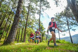 BIB: 599
                            <button type="button" onclick="openModal(19290049)" class="btn btn-primary btn-sm float-right btn-popup" data-toggle="modal" data-target=".modal-high-quality">
                        <i class="fas fa-shopping-cart"></i> Add to Cart
                    </button>
                                            <button type="button" onclick="isThisMe(19290049, true)" class="btn btn-success btn-sm float-right btn-popup btn-isme hidden" data-toggle="tooltip" data-placement="bottom" title="นี่คือรูปของคุณใช่ไหม คลิกที่นี่เพื่อเอาเข้าอัลบั้ม">
                        <i class="fas fa-plus"></i> Add to album
                    </button>
                    <button type="button" onclick="isThisMe(19290049, false)" class="btn btn-warning btn-sm float-right btn-popup btn-isnotme hidden">
                        <i class="fas fa-ban"></i> Remove from album
                    </button>