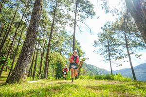 BIB: 
                            <button type="button" onclick="openModal(19289293)" class="btn btn-primary btn-sm float-right btn-popup" data-toggle="modal" data-target=".modal-high-quality">
                        <i class="fas fa-shopping-cart"></i> Add to Cart
                    </button>
                                            <button type="button" onclick="isThisMe(19289293, true)" class="btn btn-success btn-sm float-right btn-popup btn-isme hidden" data-toggle="tooltip" data-placement="bottom" title="นี่คือรูปของคุณใช่ไหม คลิกที่นี่เพื่อเอาเข้าอัลบั้ม">
                        <i class="fas fa-plus"></i> Add to album
                    </button>
                    <button type="button" onclick="isThisMe(19289293, false)" class="btn btn-warning btn-sm float-right btn-popup btn-isnotme hidden">
                        <i class="fas fa-ban"></i> Remove from album
                    </button>