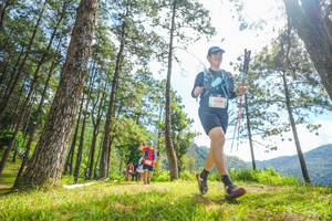 BIB: 
                            <button type="button" onclick="openModal(19289419)" class="btn btn-primary btn-sm float-right btn-popup" data-toggle="modal" data-target=".modal-high-quality">
                        <i class="fas fa-shopping-cart"></i> Add to Cart
                    </button>
                                            <button type="button" onclick="isThisMe(19289419, true)" class="btn btn-success btn-sm float-right btn-popup btn-isme hidden" data-toggle="tooltip" data-placement="bottom" title="นี่คือรูปของคุณใช่ไหม คลิกที่นี่เพื่อเอาเข้าอัลบั้ม">
                        <i class="fas fa-plus"></i> Add to album
                    </button>
                    <button type="button" onclick="isThisMe(19289419, false)" class="btn btn-warning btn-sm float-right btn-popup btn-isnotme hidden">
                        <i class="fas fa-ban"></i> Remove from album
                    </button>