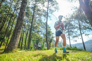 BIB: 
                            <button type="button" onclick="openModal(19286758)" class="btn btn-primary btn-sm float-right btn-popup" data-toggle="modal" data-target=".modal-high-quality">
                        <i class="fas fa-shopping-cart"></i> Add to Cart
                    </button>
                                            <button type="button" onclick="isThisMe(19286758, true)" class="btn btn-success btn-sm float-right btn-popup btn-isme hidden" data-toggle="tooltip" data-placement="bottom" title="นี่คือรูปของคุณใช่ไหม คลิกที่นี่เพื่อเอาเข้าอัลบั้ม">
                        <i class="fas fa-plus"></i> Add to album
                    </button>
                    <button type="button" onclick="isThisMe(19286758, false)" class="btn btn-warning btn-sm float-right btn-popup btn-isnotme hidden">
                        <i class="fas fa-ban"></i> Remove from album
                    </button>