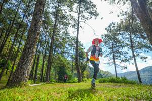 BIB: 
                            <button type="button" onclick="openModal(19287267)" class="btn btn-primary btn-sm float-right btn-popup" data-toggle="modal" data-target=".modal-high-quality">
                        <i class="fas fa-shopping-cart"></i> Add to Cart
                    </button>
                                            <button type="button" onclick="isThisMe(19287267, true)" class="btn btn-success btn-sm float-right btn-popup btn-isme hidden" data-toggle="tooltip" data-placement="bottom" title="นี่คือรูปของคุณใช่ไหม คลิกที่นี่เพื่อเอาเข้าอัลบั้ม">
                        <i class="fas fa-plus"></i> Add to album
                    </button>
                    <button type="button" onclick="isThisMe(19287267, false)" class="btn btn-warning btn-sm float-right btn-popup btn-isnotme hidden">
                        <i class="fas fa-ban"></i> Remove from album
                    </button>