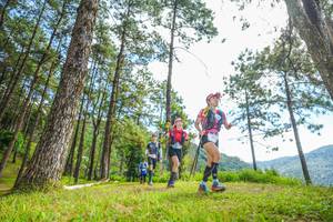 BIB: 
                            <button type="button" onclick="openModal(19288175)" class="btn btn-primary btn-sm float-right btn-popup" data-toggle="modal" data-target=".modal-high-quality">
                        <i class="fas fa-shopping-cart"></i> Add to Cart
                    </button>
                                            <button type="button" onclick="isThisMe(19288175, true)" class="btn btn-success btn-sm float-right btn-popup btn-isme hidden" data-toggle="tooltip" data-placement="bottom" title="นี่คือรูปของคุณใช่ไหม คลิกที่นี่เพื่อเอาเข้าอัลบั้ม">
                        <i class="fas fa-plus"></i> Add to album
                    </button>
                    <button type="button" onclick="isThisMe(19288175, false)" class="btn btn-warning btn-sm float-right btn-popup btn-isnotme hidden">
                        <i class="fas fa-ban"></i> Remove from album
                    </button>