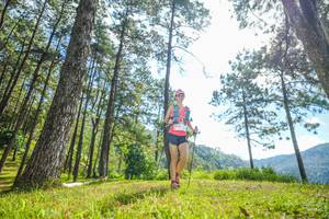 BIB: 
                            <button type="button" onclick="openModal(19284055)" class="btn btn-primary btn-sm float-right btn-popup" data-toggle="modal" data-target=".modal-high-quality">
                        <i class="fas fa-shopping-cart"></i> Add to Cart
                    </button>
                                            <button type="button" onclick="isThisMe(19284055, true)" class="btn btn-success btn-sm float-right btn-popup btn-isme hidden" data-toggle="tooltip" data-placement="bottom" title="นี่คือรูปของคุณใช่ไหม คลิกที่นี่เพื่อเอาเข้าอัลบั้ม">
                        <i class="fas fa-plus"></i> Add to album
                    </button>
                    <button type="button" onclick="isThisMe(19284055, false)" class="btn btn-warning btn-sm float-right btn-popup btn-isnotme hidden">
                        <i class="fas fa-ban"></i> Remove from album
                    </button>