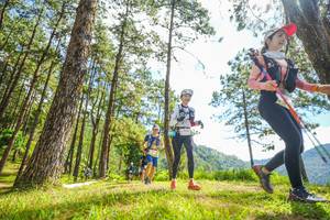 BIB: 
                            <button type="button" onclick="openModal(19289766)" class="btn btn-primary btn-sm float-right btn-popup" data-toggle="modal" data-target=".modal-high-quality">
                        <i class="fas fa-shopping-cart"></i> Add to Cart
                    </button>
                                            <button type="button" onclick="isThisMe(19289766, true)" class="btn btn-success btn-sm float-right btn-popup btn-isme hidden" data-toggle="tooltip" data-placement="bottom" title="นี่คือรูปของคุณใช่ไหม คลิกที่นี่เพื่อเอาเข้าอัลบั้ม">
                        <i class="fas fa-plus"></i> Add to album
                    </button>
                    <button type="button" onclick="isThisMe(19289766, false)" class="btn btn-warning btn-sm float-right btn-popup btn-isnotme hidden">
                        <i class="fas fa-ban"></i> Remove from album
                    </button>