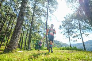 BIB: 
                            <button type="button" onclick="openModal(19285335)" class="btn btn-primary btn-sm float-right btn-popup" data-toggle="modal" data-target=".modal-high-quality">
                        <i class="fas fa-shopping-cart"></i> Add to Cart
                    </button>
                                            <button type="button" onclick="isThisMe(19285335, true)" class="btn btn-success btn-sm float-right btn-popup btn-isme hidden" data-toggle="tooltip" data-placement="bottom" title="นี่คือรูปของคุณใช่ไหม คลิกที่นี่เพื่อเอาเข้าอัลบั้ม">
                        <i class="fas fa-plus"></i> Add to album
                    </button>
                    <button type="button" onclick="isThisMe(19285335, false)" class="btn btn-warning btn-sm float-right btn-popup btn-isnotme hidden">
                        <i class="fas fa-ban"></i> Remove from album
                    </button>