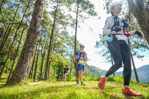 BIB: 
                            <button type="button" onclick="openModal(19289779)" class="btn btn-primary btn-sm float-right btn-popup" data-toggle="modal" data-target=".modal-high-quality">
                        <i class="fas fa-shopping-cart"></i> Add to Cart
                    </button>
                                            <button type="button" onclick="isThisMe(19289779, true)" class="btn btn-success btn-sm float-right btn-popup btn-isme hidden" data-toggle="tooltip" data-placement="bottom" title="นี่คือรูปของคุณใช่ไหม คลิกที่นี่เพื่อเอาเข้าอัลบั้ม">
                        <i class="fas fa-plus"></i> Add to album
                    </button>
                    <button type="button" onclick="isThisMe(19289779, false)" class="btn btn-warning btn-sm float-right btn-popup btn-isnotme hidden">
                        <i class="fas fa-ban"></i> Remove from album
                    </button>