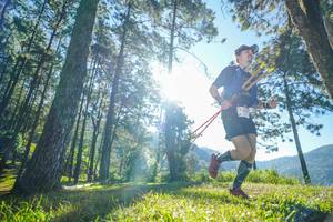 BIB: 
                            <button type="button" onclick="openModal(19279639)" class="btn btn-primary btn-sm float-right btn-popup" data-toggle="modal" data-target=".modal-high-quality">
                        <i class="fas fa-shopping-cart"></i> Add to Cart
                    </button>
                                            <button type="button" onclick="isThisMe(19279639, true)" class="btn btn-success btn-sm float-right btn-popup btn-isme hidden" data-toggle="tooltip" data-placement="bottom" title="นี่คือรูปของคุณใช่ไหม คลิกที่นี่เพื่อเอาเข้าอัลบั้ม">
                        <i class="fas fa-plus"></i> Add to album
                    </button>
                    <button type="button" onclick="isThisMe(19279639, false)" class="btn btn-warning btn-sm float-right btn-popup btn-isnotme hidden">
                        <i class="fas fa-ban"></i> Remove from album
                    </button>