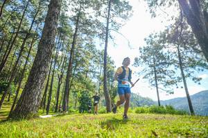 BIB: 
                            <button type="button" onclick="openModal(19283971)" class="btn btn-primary btn-sm float-right btn-popup" data-toggle="modal" data-target=".modal-high-quality">
                        <i class="fas fa-shopping-cart"></i> Add to Cart
                    </button>
                                            <button type="button" onclick="isThisMe(19283971, true)" class="btn btn-success btn-sm float-right btn-popup btn-isme hidden" data-toggle="tooltip" data-placement="bottom" title="นี่คือรูปของคุณใช่ไหม คลิกที่นี่เพื่อเอาเข้าอัลบั้ม">
                        <i class="fas fa-plus"></i> Add to album
                    </button>
                    <button type="button" onclick="isThisMe(19283971, false)" class="btn btn-warning btn-sm float-right btn-popup btn-isnotme hidden">
                        <i class="fas fa-ban"></i> Remove from album
                    </button>