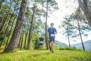 BIB: 
                            <button type="button" onclick="openModal(19288250)" class="btn btn-primary btn-sm float-right btn-popup" data-toggle="modal" data-target=".modal-high-quality">
                        <i class="fas fa-shopping-cart"></i> Add to Cart
                    </button>
                                            <button type="button" onclick="isThisMe(19288250, true)" class="btn btn-success btn-sm float-right btn-popup btn-isme hidden" data-toggle="tooltip" data-placement="bottom" title="นี่คือรูปของคุณใช่ไหม คลิกที่นี่เพื่อเอาเข้าอัลบั้ม">
                        <i class="fas fa-plus"></i> Add to album
                    </button>
                    <button type="button" onclick="isThisMe(19288250, false)" class="btn btn-warning btn-sm float-right btn-popup btn-isnotme hidden">
                        <i class="fas fa-ban"></i> Remove from album
                    </button>