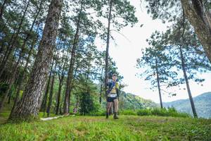 BIB: 
                            <button type="button" onclick="openModal(19287969)" class="btn btn-primary btn-sm float-right btn-popup" data-toggle="modal" data-target=".modal-high-quality">
                        <i class="fas fa-shopping-cart"></i> Add to Cart
                    </button>
                                            <button type="button" onclick="isThisMe(19287969, true)" class="btn btn-success btn-sm float-right btn-popup btn-isme hidden" data-toggle="tooltip" data-placement="bottom" title="นี่คือรูปของคุณใช่ไหม คลิกที่นี่เพื่อเอาเข้าอัลบั้ม">
                        <i class="fas fa-plus"></i> Add to album
                    </button>
                    <button type="button" onclick="isThisMe(19287969, false)" class="btn btn-warning btn-sm float-right btn-popup btn-isnotme hidden">
                        <i class="fas fa-ban"></i> Remove from album
                    </button>