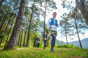 BIB: 
                            <button type="button" onclick="openModal(19289520)" class="btn btn-primary btn-sm float-right btn-popup" data-toggle="modal" data-target=".modal-high-quality">
                        <i class="fas fa-shopping-cart"></i> Add to Cart
                    </button>
                                            <button type="button" onclick="isThisMe(19289520, true)" class="btn btn-success btn-sm float-right btn-popup btn-isme hidden" data-toggle="tooltip" data-placement="bottom" title="นี่คือรูปของคุณใช่ไหม คลิกที่นี่เพื่อเอาเข้าอัลบั้ม">
                        <i class="fas fa-plus"></i> Add to album
                    </button>
                    <button type="button" onclick="isThisMe(19289520, false)" class="btn btn-warning btn-sm float-right btn-popup btn-isnotme hidden">
                        <i class="fas fa-ban"></i> Remove from album
                    </button>