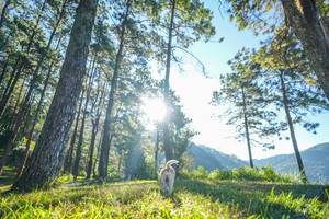 BIB: 
                            <button type="button" onclick="openModal(19278760)" class="btn btn-primary btn-sm float-right btn-popup" data-toggle="modal" data-target=".modal-high-quality">
                        <i class="fas fa-shopping-cart"></i> Add to Cart
                    </button>
                                            <button type="button" onclick="isThisMe(19278760, true)" class="btn btn-success btn-sm float-right btn-popup btn-isme hidden" data-toggle="tooltip" data-placement="bottom" title="นี่คือรูปของคุณใช่ไหม คลิกที่นี่เพื่อเอาเข้าอัลบั้ม">
                        <i class="fas fa-plus"></i> Add to album
                    </button>
                    <button type="button" onclick="isThisMe(19278760, false)" class="btn btn-warning btn-sm float-right btn-popup btn-isnotme hidden">
                        <i class="fas fa-ban"></i> Remove from album
                    </button>