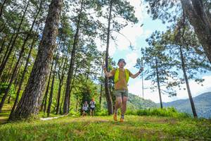 BIB: 
                            <button type="button" onclick="openModal(19291291)" class="btn btn-primary btn-sm float-right btn-popup" data-toggle="modal" data-target=".modal-high-quality">
                        <i class="fas fa-shopping-cart"></i> Add to Cart
                    </button>
                                            <button type="button" onclick="isThisMe(19291291, true)" class="btn btn-success btn-sm float-right btn-popup btn-isme hidden" data-toggle="tooltip" data-placement="bottom" title="นี่คือรูปของคุณใช่ไหม คลิกที่นี่เพื่อเอาเข้าอัลบั้ม">
                        <i class="fas fa-plus"></i> Add to album
                    </button>
                    <button type="button" onclick="isThisMe(19291291, false)" class="btn btn-warning btn-sm float-right btn-popup btn-isnotme hidden">
                        <i class="fas fa-ban"></i> Remove from album
                    </button>