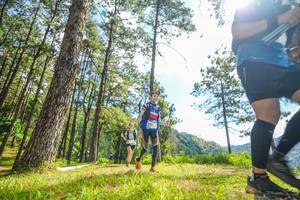 BIB: 
                            <button type="button" onclick="openModal(19290169)" class="btn btn-primary btn-sm float-right btn-popup" data-toggle="modal" data-target=".modal-high-quality">
                        <i class="fas fa-shopping-cart"></i> Add to Cart
                    </button>
                                            <button type="button" onclick="isThisMe(19290169, true)" class="btn btn-success btn-sm float-right btn-popup btn-isme hidden" data-toggle="tooltip" data-placement="bottom" title="นี่คือรูปของคุณใช่ไหม คลิกที่นี่เพื่อเอาเข้าอัลบั้ม">
                        <i class="fas fa-plus"></i> Add to album
                    </button>
                    <button type="button" onclick="isThisMe(19290169, false)" class="btn btn-warning btn-sm float-right btn-popup btn-isnotme hidden">
                        <i class="fas fa-ban"></i> Remove from album
                    </button>