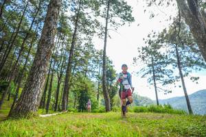 BIB: 
                            <button type="button" onclick="openModal(19287524)" class="btn btn-primary btn-sm float-right btn-popup" data-toggle="modal" data-target=".modal-high-quality">
                        <i class="fas fa-shopping-cart"></i> Add to Cart
                    </button>
                                            <button type="button" onclick="isThisMe(19287524, true)" class="btn btn-success btn-sm float-right btn-popup btn-isme hidden" data-toggle="tooltip" data-placement="bottom" title="นี่คือรูปของคุณใช่ไหม คลิกที่นี่เพื่อเอาเข้าอัลบั้ม">
                        <i class="fas fa-plus"></i> Add to album
                    </button>
                    <button type="button" onclick="isThisMe(19287524, false)" class="btn btn-warning btn-sm float-right btn-popup btn-isnotme hidden">
                        <i class="fas fa-ban"></i> Remove from album
                    </button>