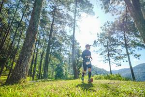 BIB: 
                            <button type="button" onclick="openModal(19281194)" class="btn btn-primary btn-sm float-right btn-popup" data-toggle="modal" data-target=".modal-high-quality">
                        <i class="fas fa-shopping-cart"></i> Add to Cart
                    </button>
                                            <button type="button" onclick="isThisMe(19281194, true)" class="btn btn-success btn-sm float-right btn-popup btn-isme hidden" data-toggle="tooltip" data-placement="bottom" title="นี่คือรูปของคุณใช่ไหม คลิกที่นี่เพื่อเอาเข้าอัลบั้ม">
                        <i class="fas fa-plus"></i> Add to album
                    </button>
                    <button type="button" onclick="isThisMe(19281194, false)" class="btn btn-warning btn-sm float-right btn-popup btn-isnotme hidden">
                        <i class="fas fa-ban"></i> Remove from album
                    </button>