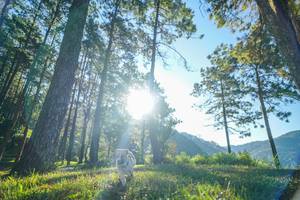 BIB: 
                            <button type="button" onclick="openModal(19278657)" class="btn btn-primary btn-sm float-right btn-popup" data-toggle="modal" data-target=".modal-high-quality">
                        <i class="fas fa-shopping-cart"></i> Add to Cart
                    </button>
                                            <button type="button" onclick="isThisMe(19278657, true)" class="btn btn-success btn-sm float-right btn-popup btn-isme hidden" data-toggle="tooltip" data-placement="bottom" title="นี่คือรูปของคุณใช่ไหม คลิกที่นี่เพื่อเอาเข้าอัลบั้ม">
                        <i class="fas fa-plus"></i> Add to album
                    </button>
                    <button type="button" onclick="isThisMe(19278657, false)" class="btn btn-warning btn-sm float-right btn-popup btn-isnotme hidden">
                        <i class="fas fa-ban"></i> Remove from album
                    </button>