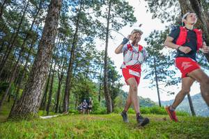 BIB: 
                            <button type="button" onclick="openModal(19288070)" class="btn btn-primary btn-sm float-right btn-popup" data-toggle="modal" data-target=".modal-high-quality">
                        <i class="fas fa-shopping-cart"></i> Add to Cart
                    </button>
                                            <button type="button" onclick="isThisMe(19288070, true)" class="btn btn-success btn-sm float-right btn-popup btn-isme hidden" data-toggle="tooltip" data-placement="bottom" title="นี่คือรูปของคุณใช่ไหม คลิกที่นี่เพื่อเอาเข้าอัลบั้ม">
                        <i class="fas fa-plus"></i> Add to album
                    </button>
                    <button type="button" onclick="isThisMe(19288070, false)" class="btn btn-warning btn-sm float-right btn-popup btn-isnotme hidden">
                        <i class="fas fa-ban"></i> Remove from album
                    </button>