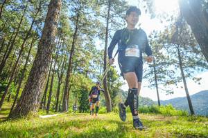 BIB: 
                            <button type="button" onclick="openModal(19290426)" class="btn btn-primary btn-sm float-right btn-popup" data-toggle="modal" data-target=".modal-high-quality">
                        <i class="fas fa-shopping-cart"></i> Add to Cart
                    </button>
                                            <button type="button" onclick="isThisMe(19290426, true)" class="btn btn-success btn-sm float-right btn-popup btn-isme hidden" data-toggle="tooltip" data-placement="bottom" title="นี่คือรูปของคุณใช่ไหม คลิกที่นี่เพื่อเอาเข้าอัลบั้ม">
                        <i class="fas fa-plus"></i> Add to album
                    </button>
                    <button type="button" onclick="isThisMe(19290426, false)" class="btn btn-warning btn-sm float-right btn-popup btn-isnotme hidden">
                        <i class="fas fa-ban"></i> Remove from album
                    </button>