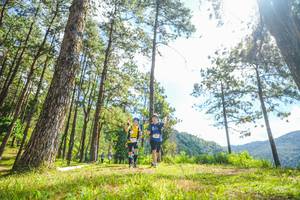 BIB: 
                            <button type="button" onclick="openModal(19290192)" class="btn btn-primary btn-sm float-right btn-popup" data-toggle="modal" data-target=".modal-high-quality">
                        <i class="fas fa-shopping-cart"></i> Add to Cart
                    </button>
                                            <button type="button" onclick="isThisMe(19290192, true)" class="btn btn-success btn-sm float-right btn-popup btn-isme hidden" data-toggle="tooltip" data-placement="bottom" title="นี่คือรูปของคุณใช่ไหม คลิกที่นี่เพื่อเอาเข้าอัลบั้ม">
                        <i class="fas fa-plus"></i> Add to album
                    </button>
                    <button type="button" onclick="isThisMe(19290192, false)" class="btn btn-warning btn-sm float-right btn-popup btn-isnotme hidden">
                        <i class="fas fa-ban"></i> Remove from album
                    </button>