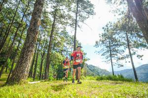 BIB: 
                            <button type="button" onclick="openModal(19287042)" class="btn btn-primary btn-sm float-right btn-popup" data-toggle="modal" data-target=".modal-high-quality">
                        <i class="fas fa-shopping-cart"></i> Add to Cart
                    </button>
                                            <button type="button" onclick="isThisMe(19287042, true)" class="btn btn-success btn-sm float-right btn-popup btn-isme hidden" data-toggle="tooltip" data-placement="bottom" title="นี่คือรูปของคุณใช่ไหม คลิกที่นี่เพื่อเอาเข้าอัลบั้ม">
                        <i class="fas fa-plus"></i> Add to album
                    </button>
                    <button type="button" onclick="isThisMe(19287042, false)" class="btn btn-warning btn-sm float-right btn-popup btn-isnotme hidden">
                        <i class="fas fa-ban"></i> Remove from album
                    </button>